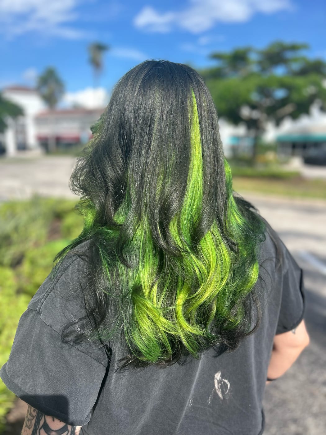Lime-green peekaboo color through long black hair in loose waves, seen from behind. Vivid color by Tori Knox at Canterbury & Co. Salon in Fort Myers